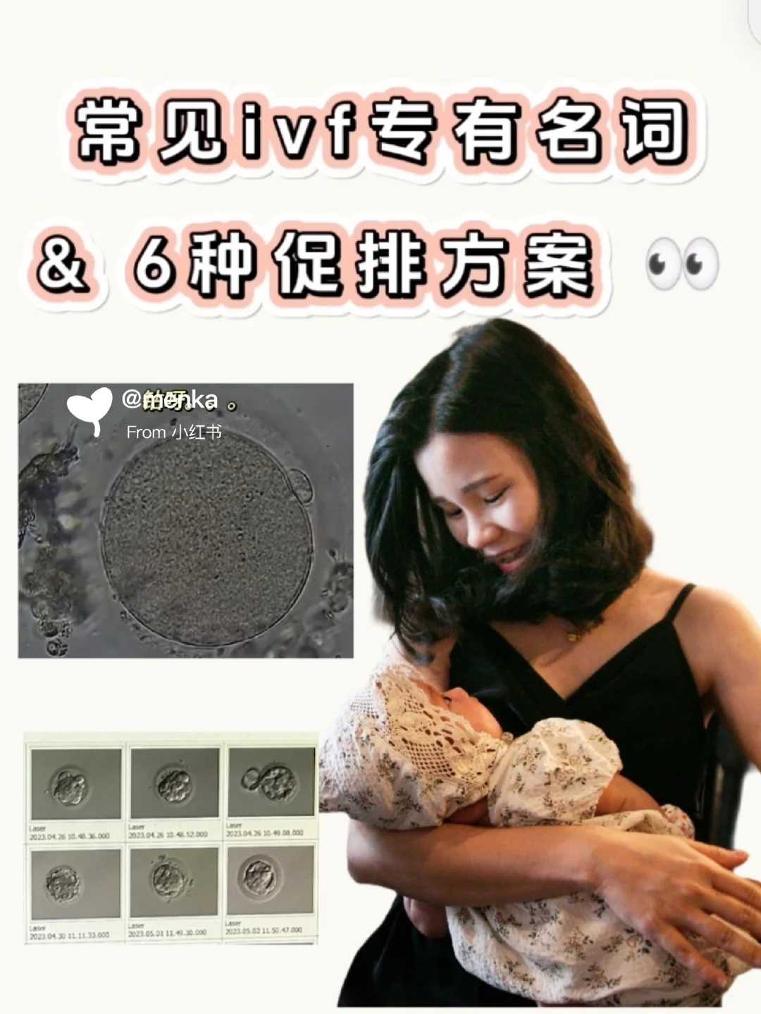 正规代生公司_试管代怀生宝宝,爱尔兰试管婴儿得多少钱，费用详情！