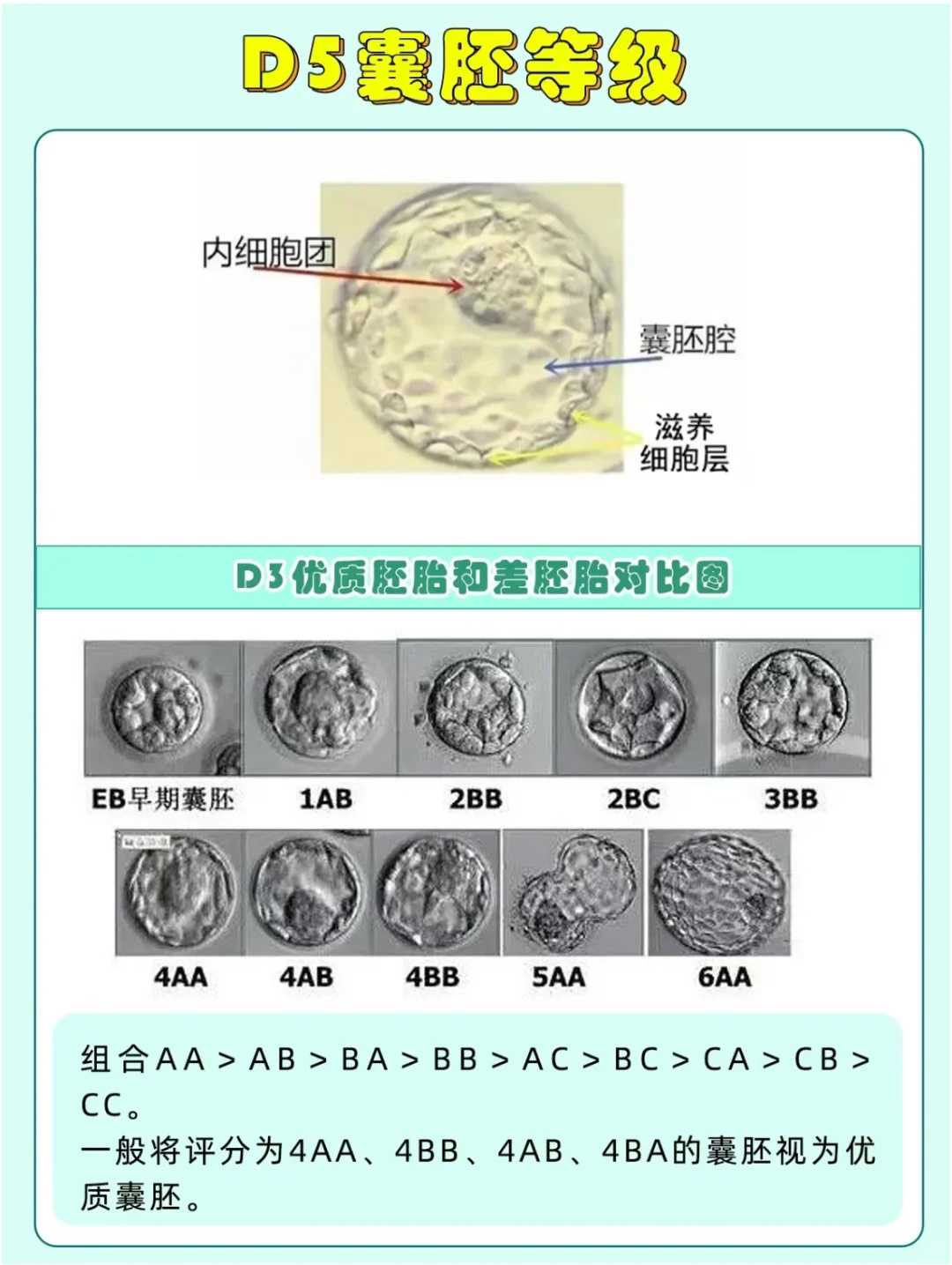 南京失独供卵生子,南京供卵公立医院哪家好,去南京鼓楼医院做三代试管怎么样！会便宜吗？