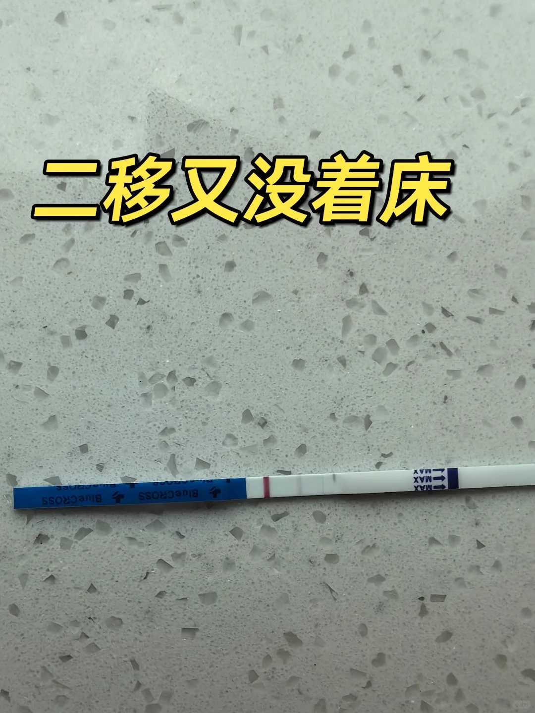 呼和浩特男同性恋供卵代生妈妈怀孕成功率（提高呼和浩特供卵代生妈妈成功率方法）